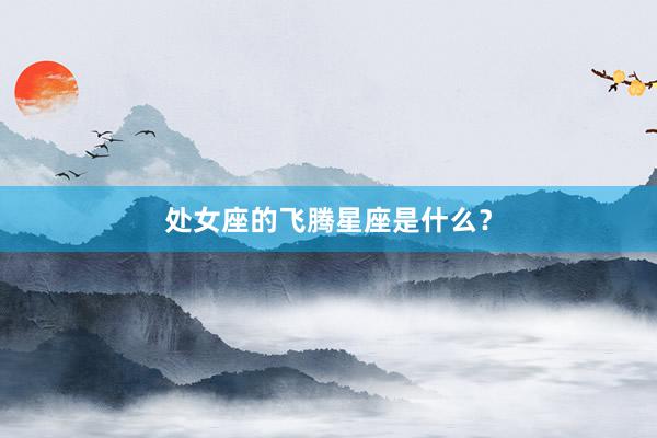 处女座的飞腾星座是什么？